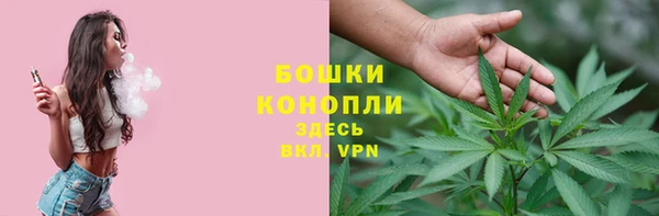 стафф Абаза